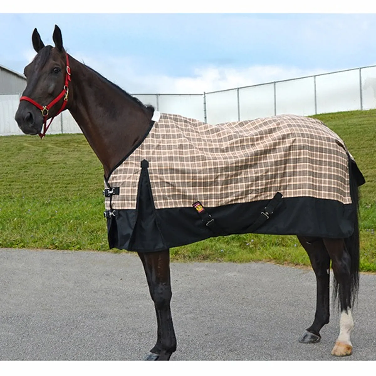 5/A Baker Black Label Turnout Sheet