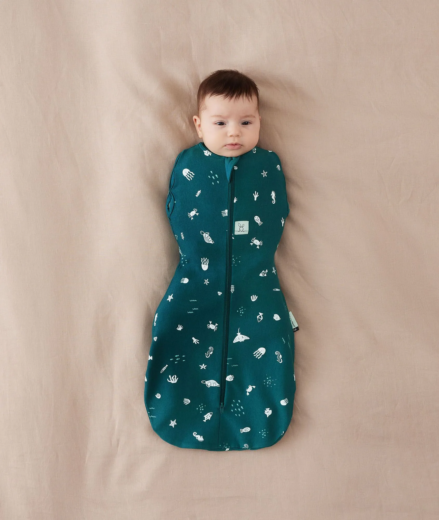 Cocoon Swaddle Bag 1.0 TOG Ocean Blue