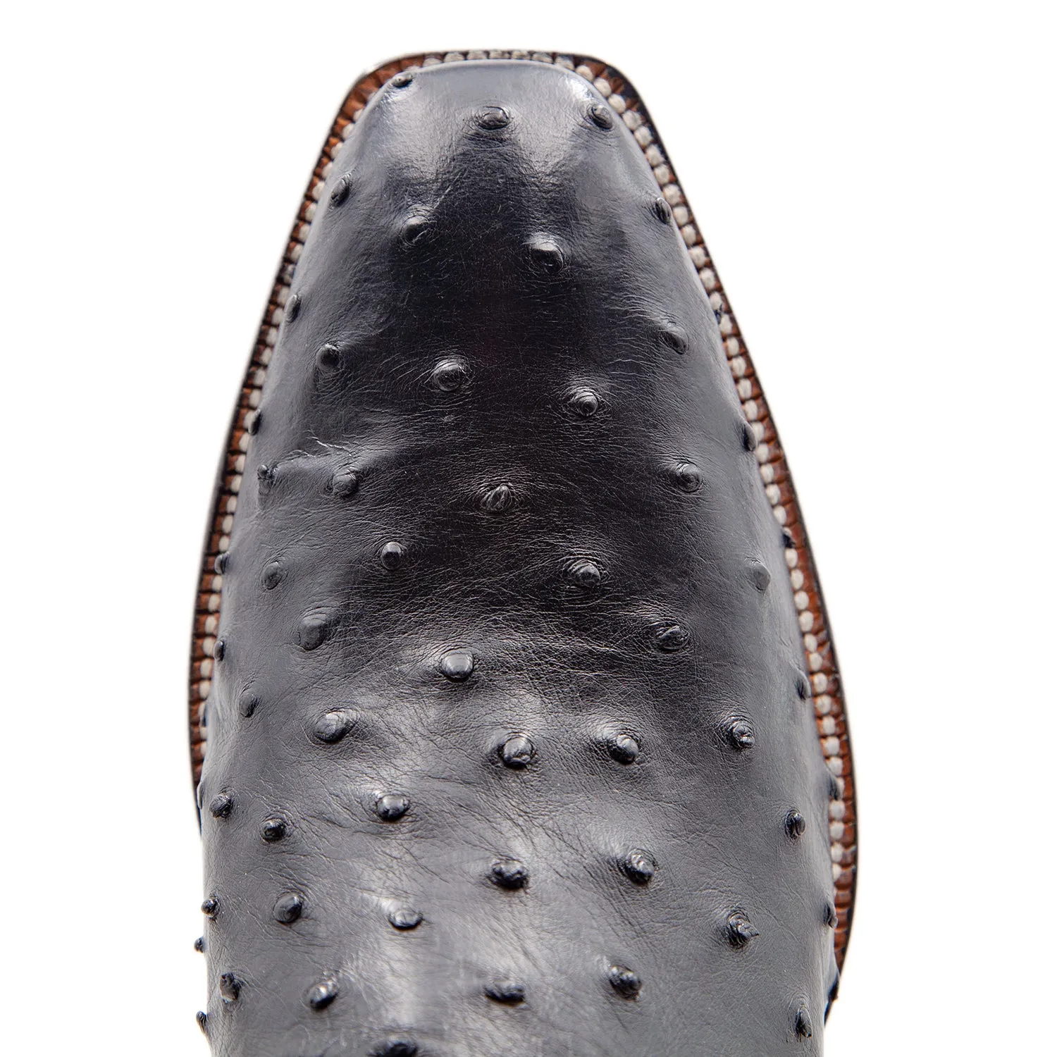 Lester French Toe
