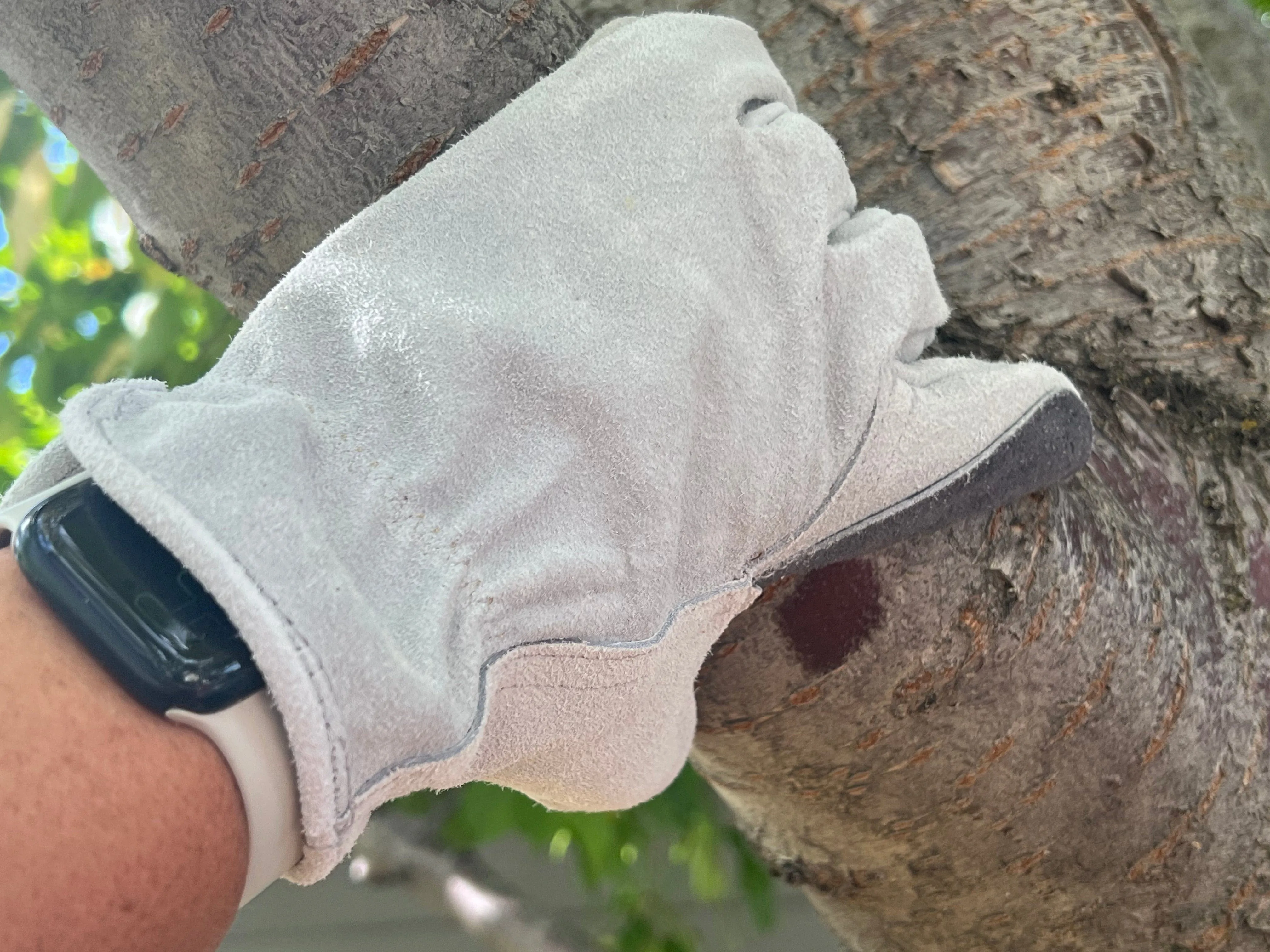 Men's Work Gloves 217