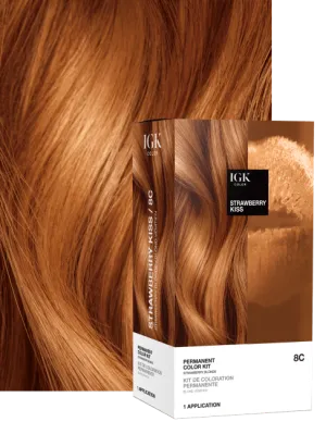 Permanent Color Kit - Best Sellers