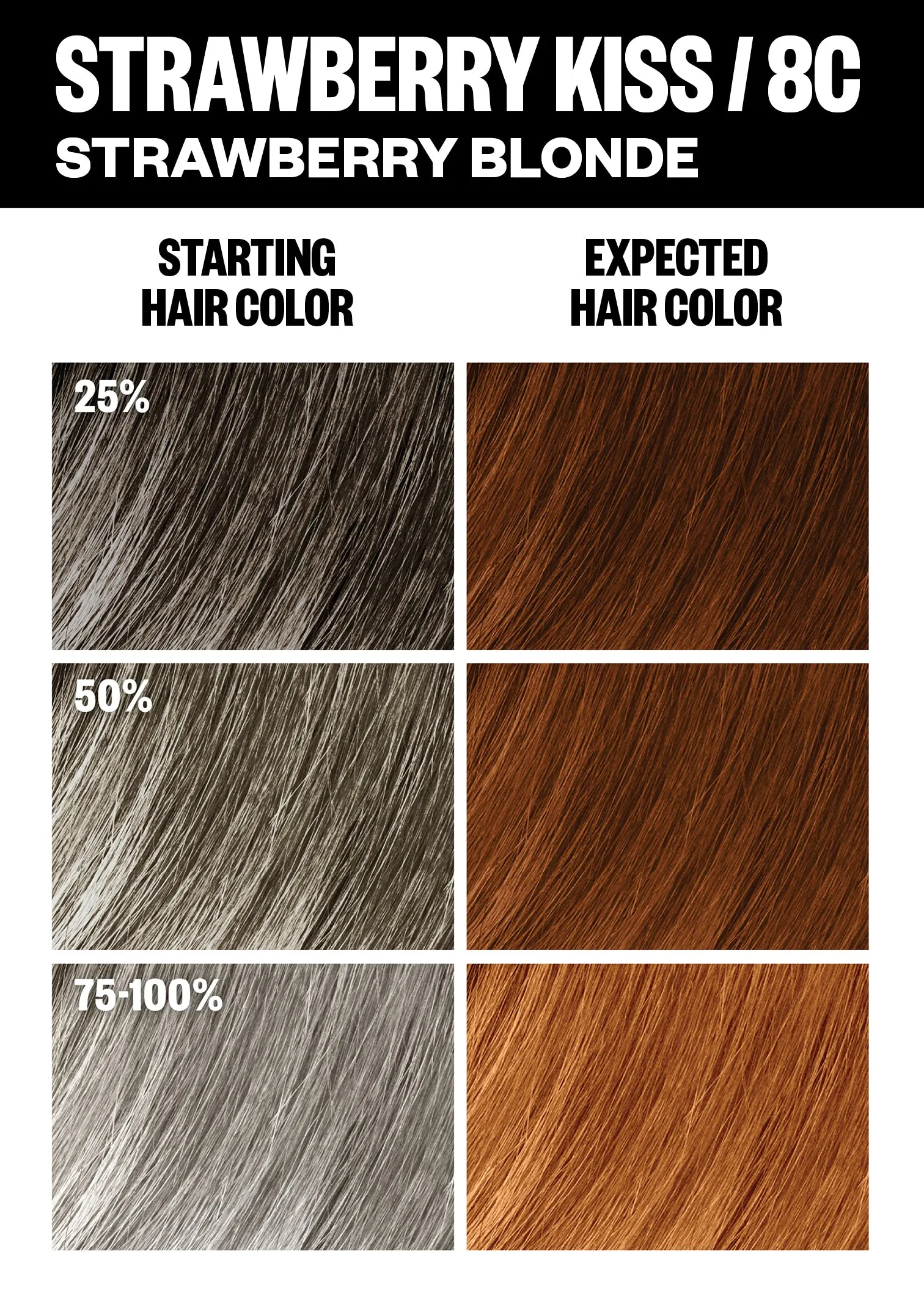 Permanent Color Kit - Best Sellers
